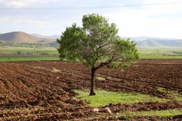 Naturaleza de la región Yomri en Shahr-e Kord