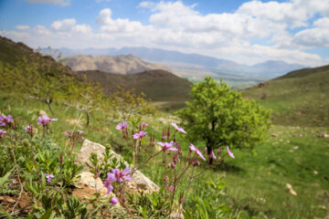 La nature pittoresque de la région de Yumeri dans l’ouest de l’Iran