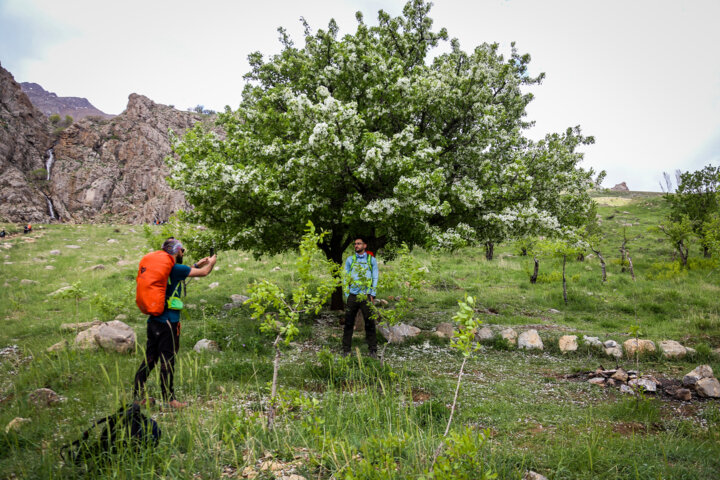 کوه یومری