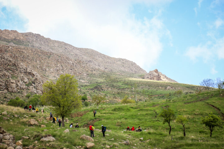 کوه یومری