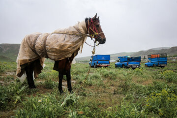 Iran's Bojnord spring horse racing