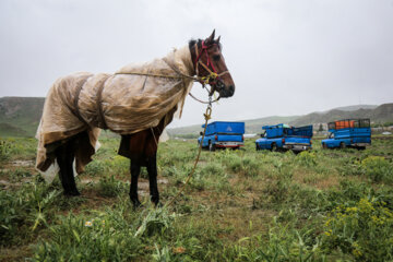 مسابقات کورس اسبدوانی بهاره روستای ایوب