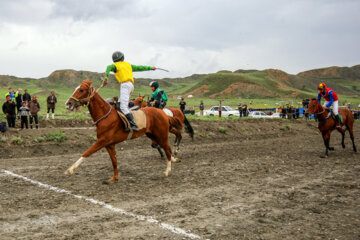 Iran's Bojnord spring horse racing