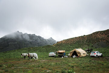 مسابقات کورس اسبدوانی بهاره روستای ایوب