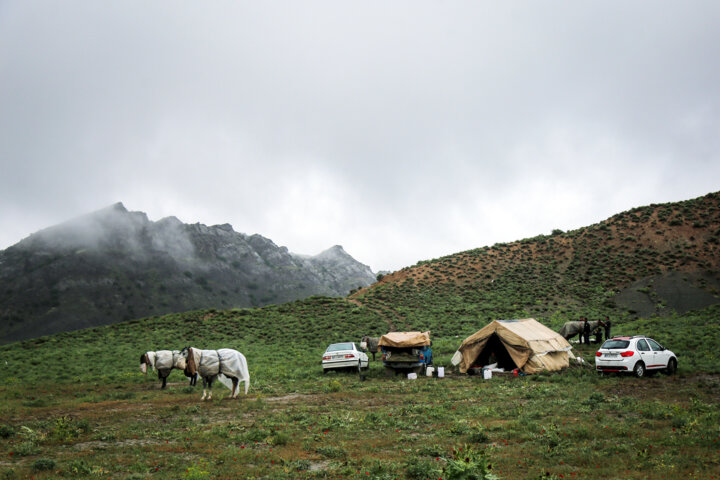 مسابقات کورس اسبدوانی بهاره روستای ایوب