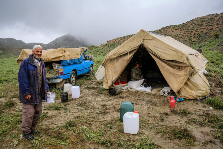 مسابقات کورس اسبدوانی بهاره روستای ایوب