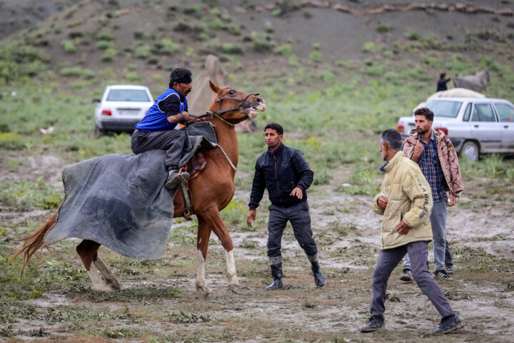 مسابقات کورس اسبدوانی بهاره روستای ایوب