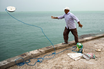 Fishing with Meshqal
