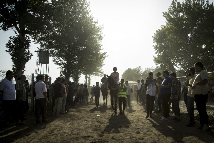 هفته پنجم کورس پاییزه گنبدکاووس با تاخت ۷۰ اسب آغاز شد