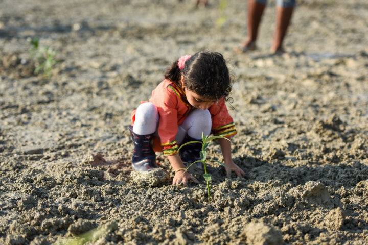 کاشت پنج هزار نهال حَرّا در روستای جهانی سهیلی جزیره قشم