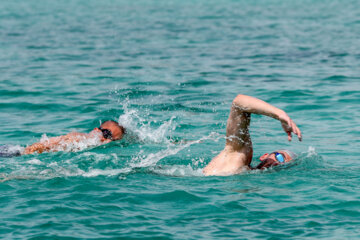 Tournoi de la natation marathon à Kish, dans le sud de l’Iran 