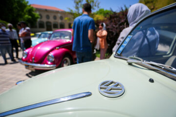 Desfile de vehículos clásicos Volkswagen en el palacio Chehel Sotun (Cuarenta columnas)