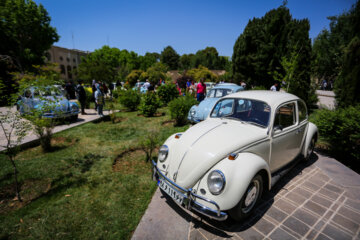 Desfile de vehículos clásicos Volkswagen en el palacio Chehel Sotun (Cuarenta columnas)