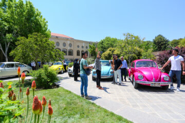 Rassemblement de Volkswagen à Ispahan 