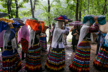 Festival de plantation de riz dans le nord de l'Iran