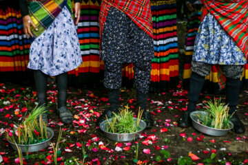 Festival de plantation de riz dans le nord de l'Iran