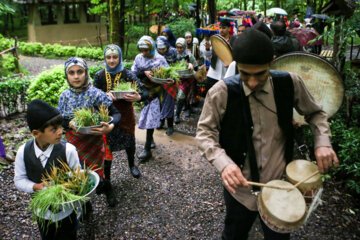 Festival de plantation de riz dans le nord de l'Iran