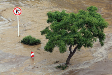 شرکت آب منطقه‌ای قزوین برای وقوع سیلاب هشدار داد