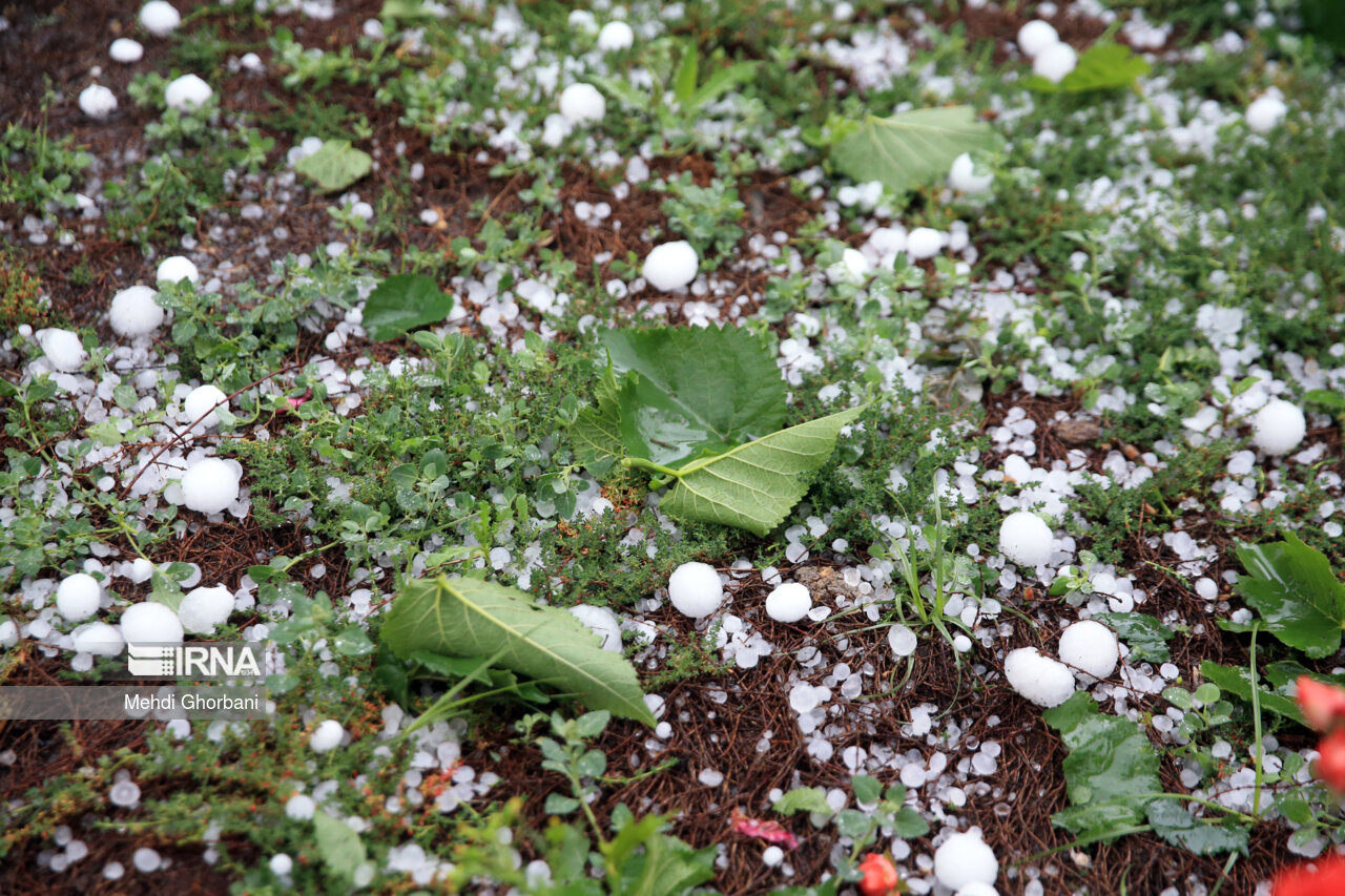 پیشبینی بارش تگرگ در آذربایجانشرقی پیشبینی بارش تگرگ در آذربایجانشرقی