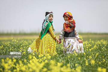 جشنواره کوچ عشایر مغان 