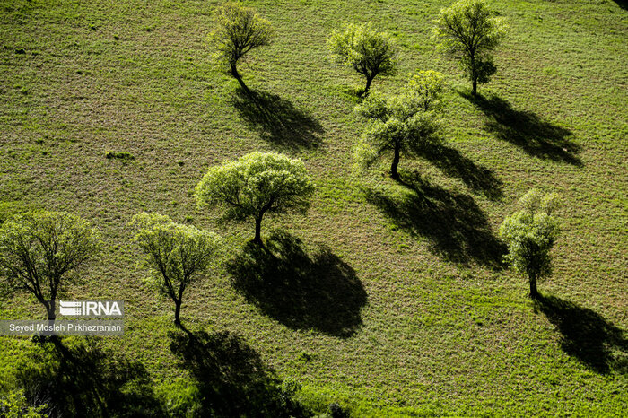 افزایش دمای هوا و تندبادهای لحظه‌ای میهمان استان سمنان است