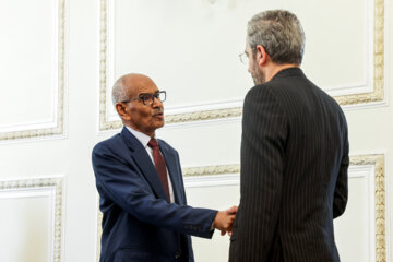 دیدار وزیر خارجه سودان با سرپرست وزارت خارجه