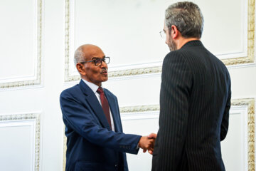 دیدار وزیر خارجه سودان با سرپرست وزارت خارجه