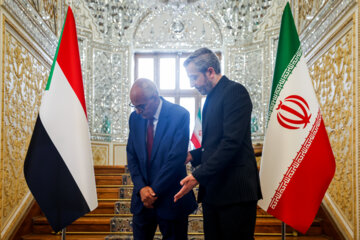 Ali Bagheri Kani as caretaker of the Ministry of Foreign Affairs welcoming Hossein Ayvaz, Minister of Foreign Affairs of Sudan 