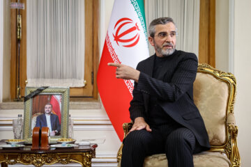  Ali Bagheri Kani (caretaker of the Ministry of Foreign Affairs) 