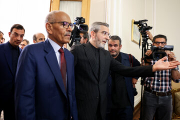 Ali Bagheri Kani as caretaker of the Ministry of Foreign Affairs welcoming Hossein Ayvaz, Minister of Foreign Affairs of Sudan 