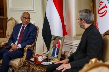 Hossein Ayvaz, Minister of Foreign Affairs of Sudan  with Ali Bagheri Kani as caretaker of the Ministry of Foreign Affairs