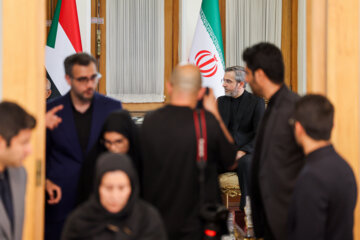 Meeting of Iran's Acting Foreign Minister