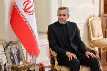  Ali Bagheri Kani (caretaker of the Ministry of Foreign Affairs) 