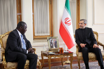 Pedro Pedroso Cuesta, High Advisor and Special Envoy of the President of Cuba meet with Ali Bagheri Kani as caretaker of the Ministry of Foreign Affairs