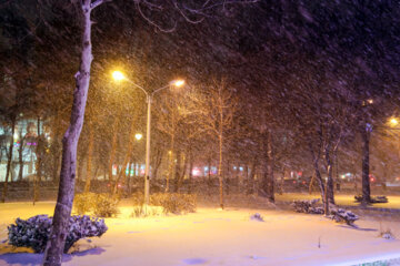 دریا در بوشهر نمایی از دریا در بوشهر