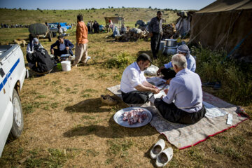 Sheep wool shearing by nomads