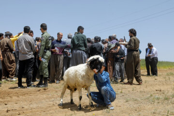 سفر استاندار کردستان به شهر حسین‌آباد