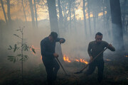 فیلم | پایش هوایی آتش سوزی جنگل های پلدختر