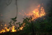 بخشی از جنگل‌های هلیساد چهارمحال و بختیاری دچار آتش‌سوزی شد