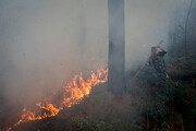 جنگل‌ و مراتع کلاله و مراوه‌تپه مستعد آتش‌سوزی در فصل گرما