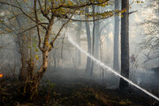آتش سوزی در روستای زرین درخت لردگان مهار شد