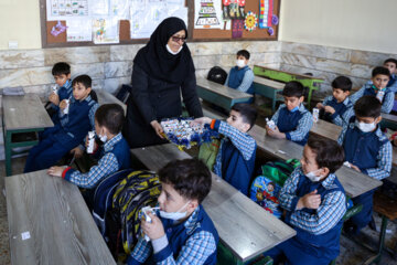 سال تحصیلی جدید ۷۵ وعده شیر رایگان در مدارس ابتدایی توزیع می‌شود