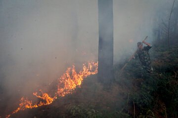 تلاش برای مهار آتش در مراتع پلدختر و کوهدشت ادامه دارد
