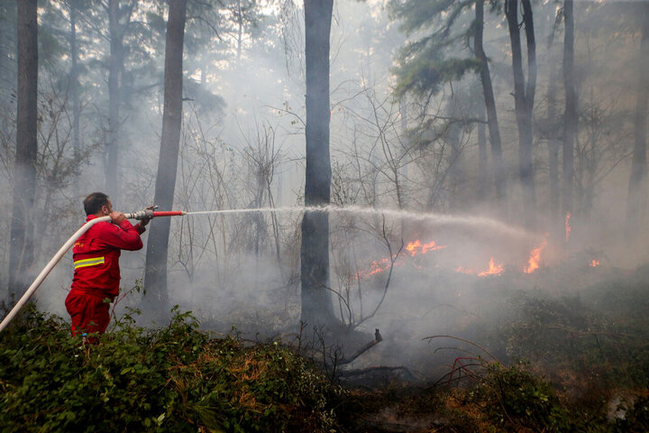 پیشگیری از آتشسوزی اولویت حفظ مناطق طبیعی/زمان اطفا حریق مراقب مارهای زخمی باشید