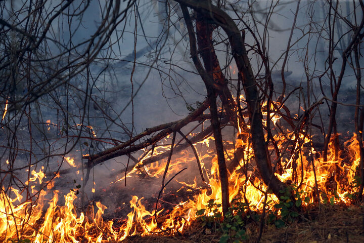 نگرانی افزایش آتشسوزی در مناطق/همکاری وزارت دفاع برای تامین بالگرد