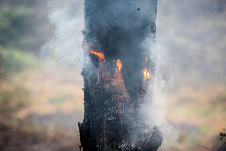 اطفای ۲۷ فقره حریق لرستان با حضور بیش از ۲ هزار نفر ادامه دارد
