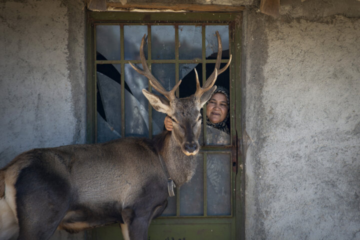 نعره‌ای برای زندگی