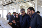 رییس سازمان انرژی اتمی از سایت پرتودهی گاما در شهرکرد دیدن کرد+ فیلم