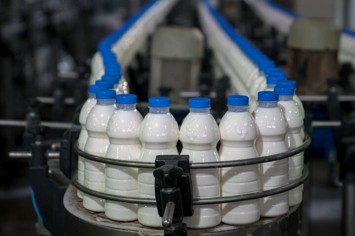 برزخ لبنیاتیهای سنتی و کارخانهای