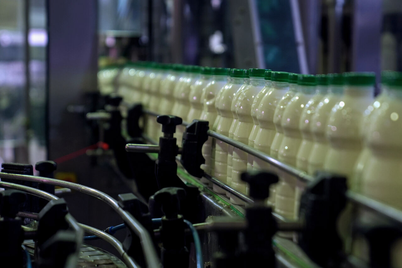 تب برفکی و کمبود نهاده؛ دو عامل گرانی شیرخام تب برفکی و کمبود نهاده؛ دو عامل گرانی شیرخام